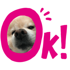 [LINEスタンプ] みどりい