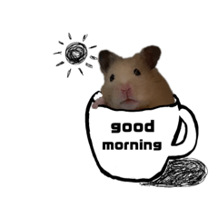 [LINEスタンプ] きんの日常