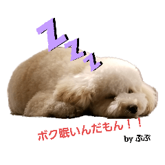 [LINEスタンプ] ぷぷくんの日常