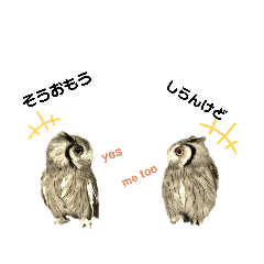 [LINEスタンプ] フクロウあずきver.2.0