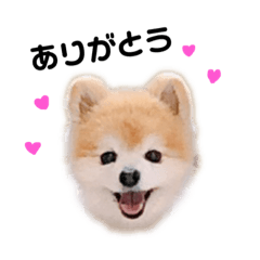 [LINEスタンプ] さかたいちくん