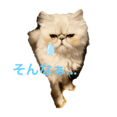 [LINEスタンプ] ペルシャ猫ちくわ
