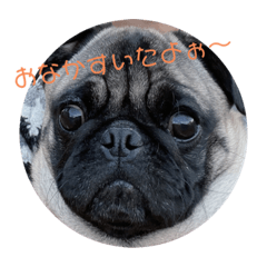 [LINEスタンプ] ぱぐたくん①