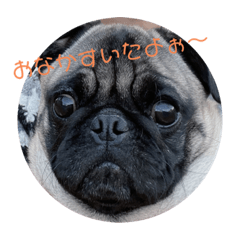 [LINEスタンプ] ぱぐたくん①の画像（メイン）