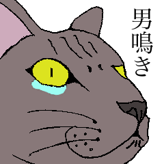 [LINEスタンプ] ねこ、時々男前