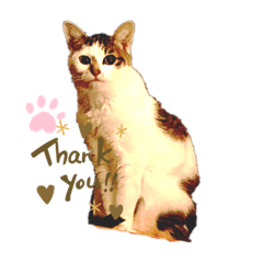 [LINEスタンプ] あげチャロ
