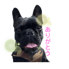 [LINEスタンプ] バズ夫のスタンプ