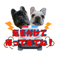 [LINEスタンプ] フレブルのナナとレイ