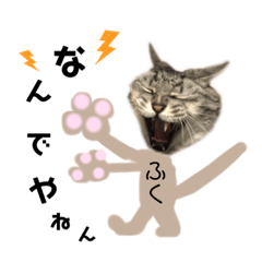 [LINEスタンプ] あわづさんちのにゃんこたち
