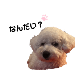 [LINEスタンプ] Be＆bit