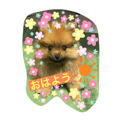 [LINEスタンプ] ウッディ君