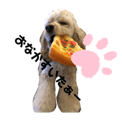 [LINEスタンプ] アメリカンコッカースパニエルのブレア2