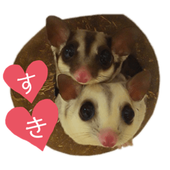[LINEスタンプ] 伊藤家のフクロモモンガ