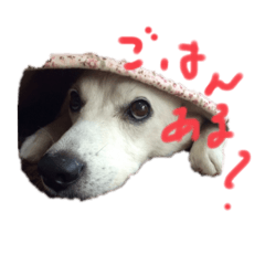 [LINEスタンプ] くぼたちび太