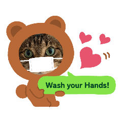 [LINEスタンプ] ミーくん！にゃん