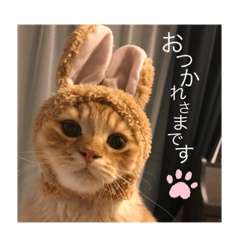 [LINEスタンプ] 岡本さんちのうにさん。