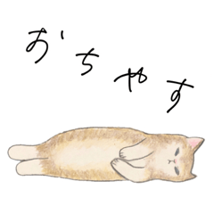 [LINEスタンプ] 良くも悪くも猫