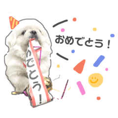 [LINEスタンプ] たぴちゃんスタンプ‪‪