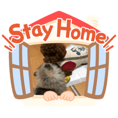 [LINEスタンプ] 愛犬ちゃんのアクアとダイヤ