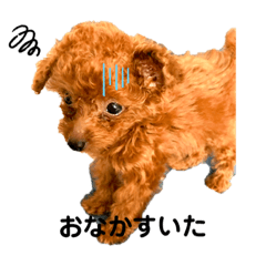 [LINEスタンプ] るいベビーの画像（メイン）