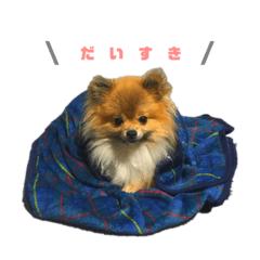 [LINEスタンプ] サムくんの日常