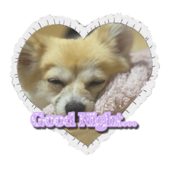 [LINEスタンプ] RoCo lv.2