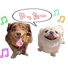 [LINEスタンプ] チップと小梅2
