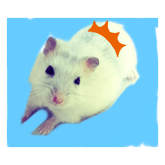 [LINEスタンプ] ハムコウのスタンプ