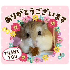 [LINEスタンプ] 大好き❤️ハムスター