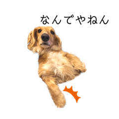 [LINEスタンプ] ぼく、BINGO