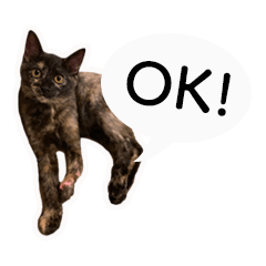 [LINEスタンプ] 保護猫ルナの日常#1