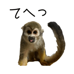 [LINEスタンプ] 生意キッキ