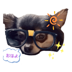 [LINEスタンプ] 家のまろん