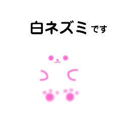 [LINEスタンプ] 白 ネズミ