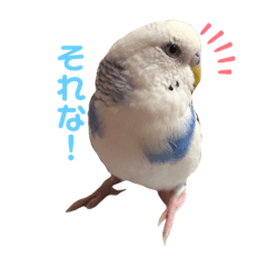 [LINEスタンプ] ダイヤとパール