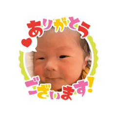 [LINEスタンプ] ピロくんスタンプ