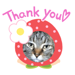 [LINEスタンプ] うしくる