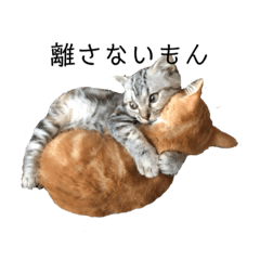 [LINEスタンプ] みみらら