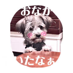 [LINEスタンプ] もねもね2