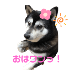 [LINEスタンプ] もここん