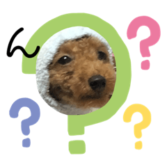 [LINEスタンプ] ゆうこむぎん