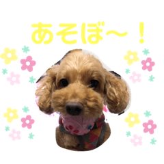 [LINEスタンプ] ぷーちゃんはおもしろい！