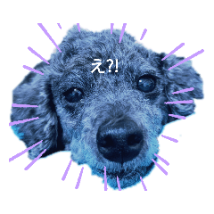[LINEスタンプ] クロエとクリフ