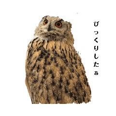 [LINEスタンプ] シベリアンワシミミズクの挨拶