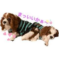 [LINEスタンプ] ラブノエ日記