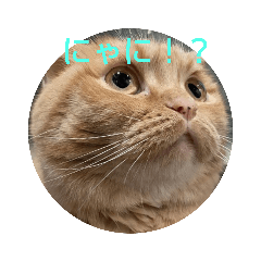 [LINEスタンプ] 返事いろいろ