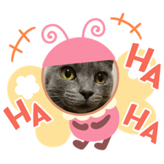 [LINEスタンプ] ゆずちゃんのあいさつ
