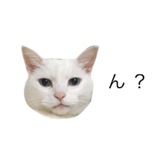 [LINEスタンプ] たろう詰めあわせ
