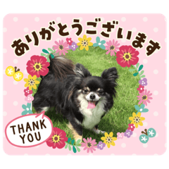 [LINEスタンプ] パンちゃん♥️F