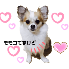 [LINEスタンプ] レオ君とモモコちゃんpart2